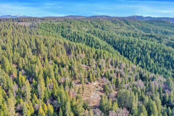 Alleghany, CA 95924,92 W Long Point Trail