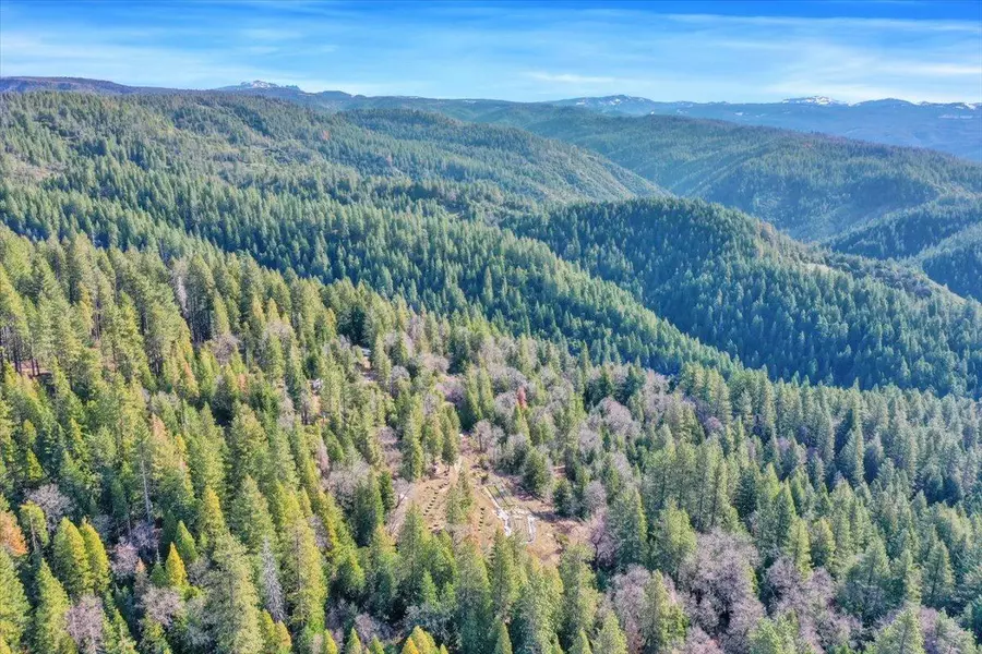 92 W Long Point Trail, Alleghany, CA 95924