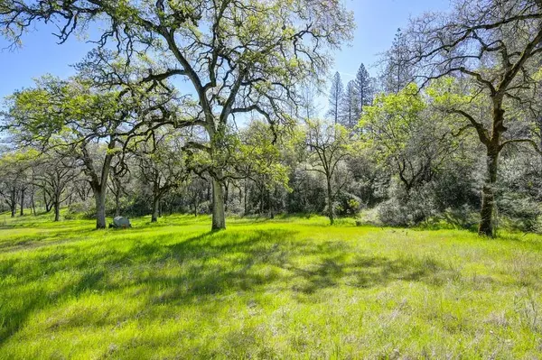 Greenwood, CA 95635,0 40 Acres - Five Oaks WAY