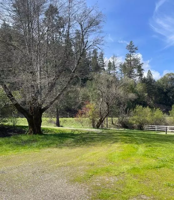 Douglas City, CA 96024,59799 State Hwy 299