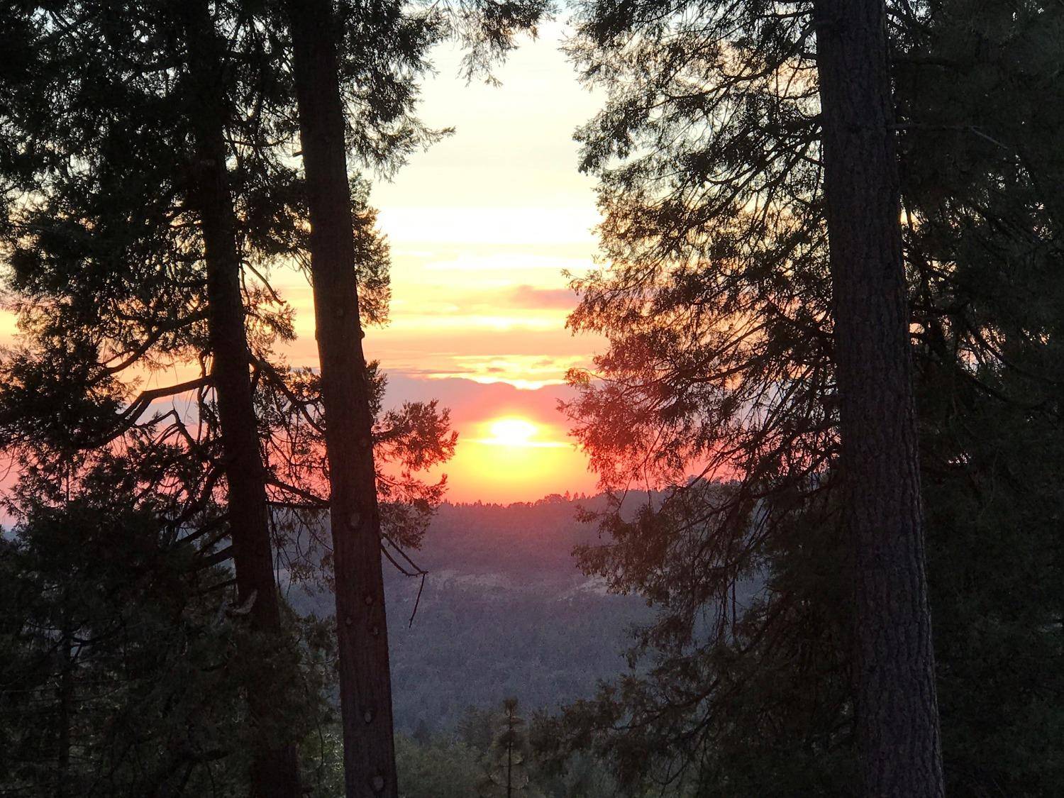 Volcano, CA 95689,24895 Shake Ridge RD
