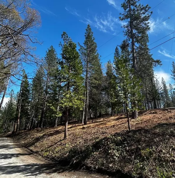 Georgetown, CA 95634,Lot 1 Harkness ST