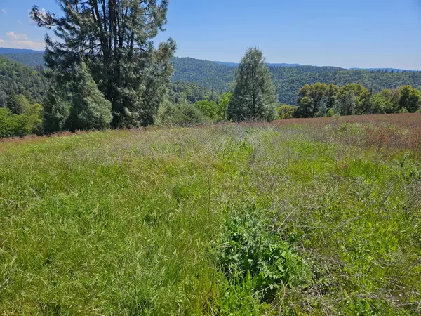 AC Nawi & Oak Leaf CIR, Placerville, CA 95667