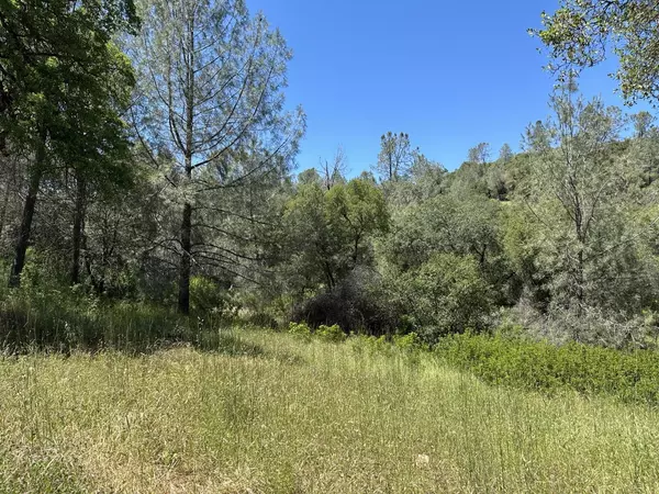 Penn Valley, CA 95946,12787 Country Heights DR