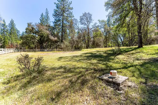 Grass Valley, CA 95949,13096 Thoroughbred LOOP