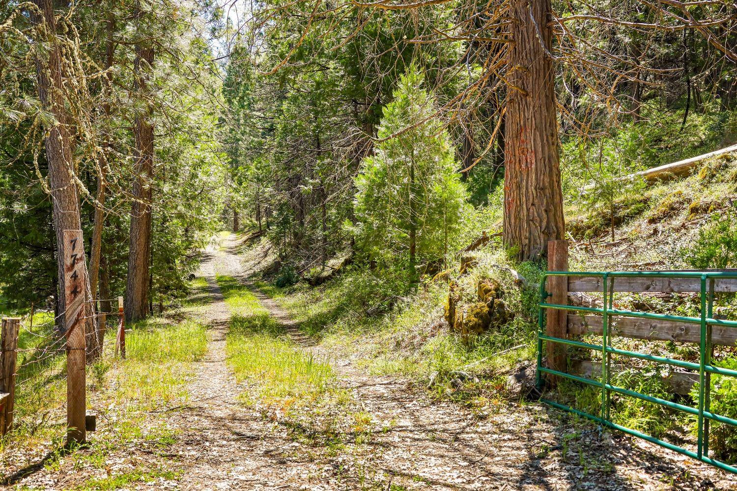Mountain Ranch, CA 95246,7744 Swiss Ranch RD