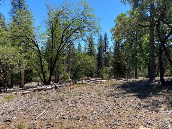 0 Meadowlark WAY, Placerville, CA 95667