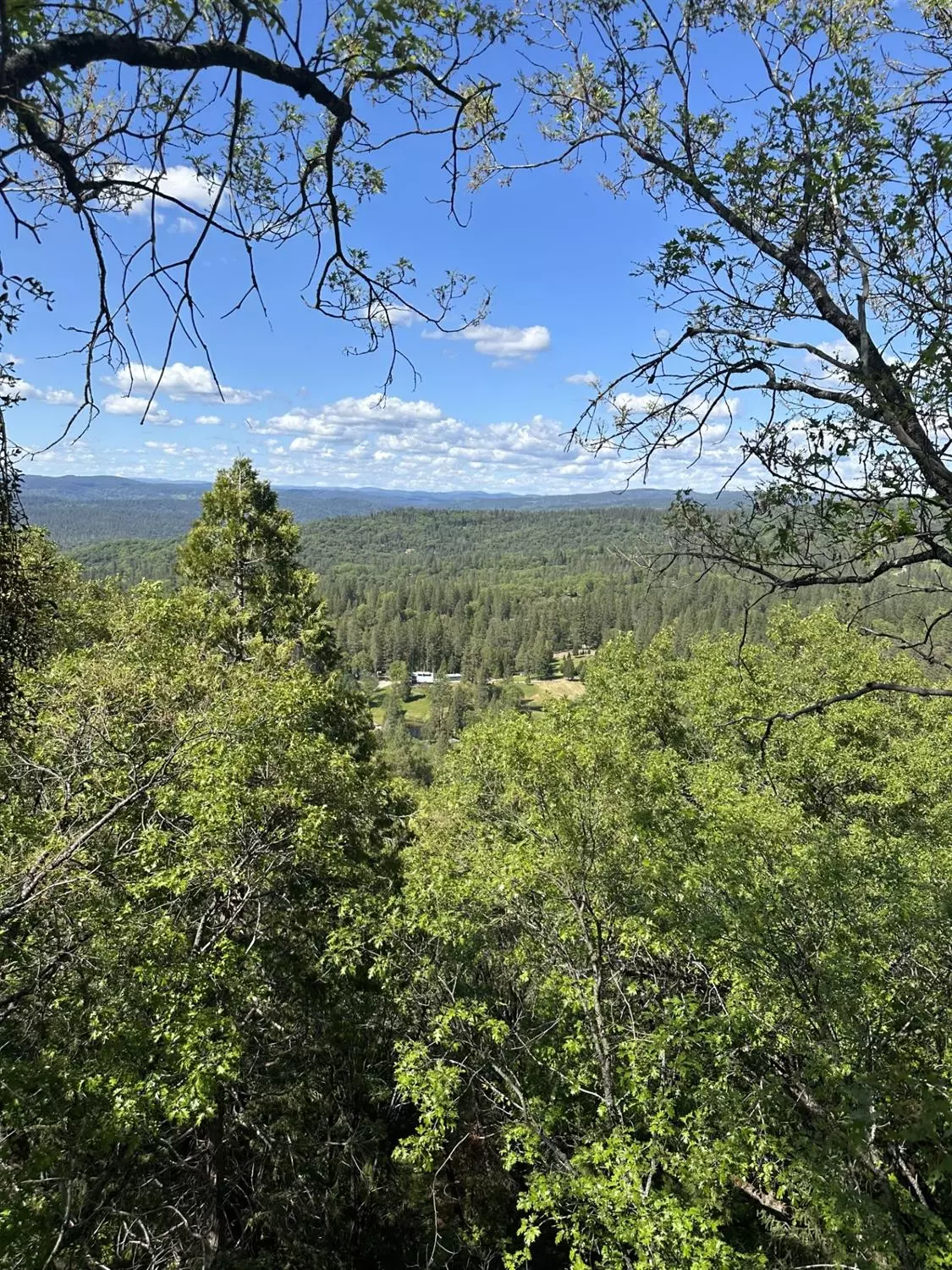 Nevada City, CA 95959,26859 Wampum WAY