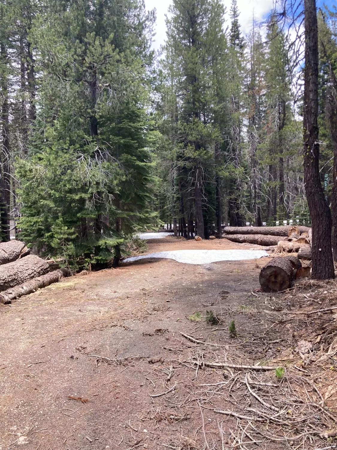 Bucks Lake, CA 95971,1223 Grizzly Loop