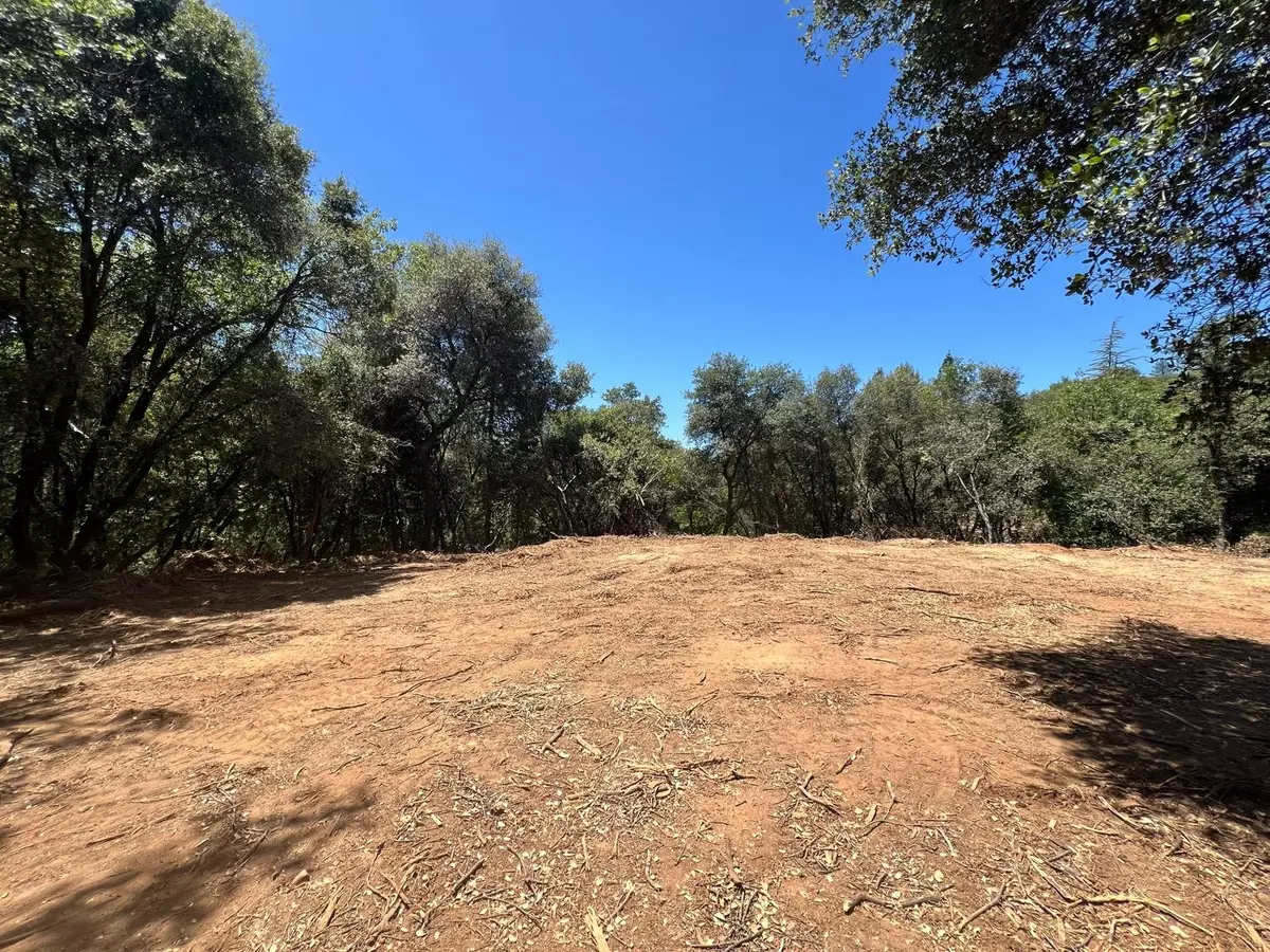 Placerville, CA 95667,3542 Cedar Ravine RD