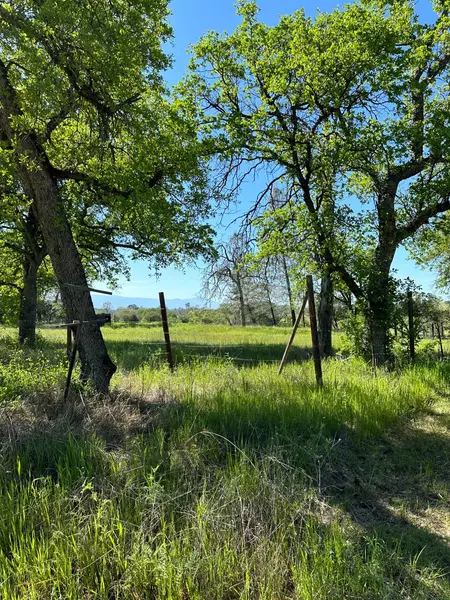 16260 Rancho Tehama RD, Corning, CA 96021