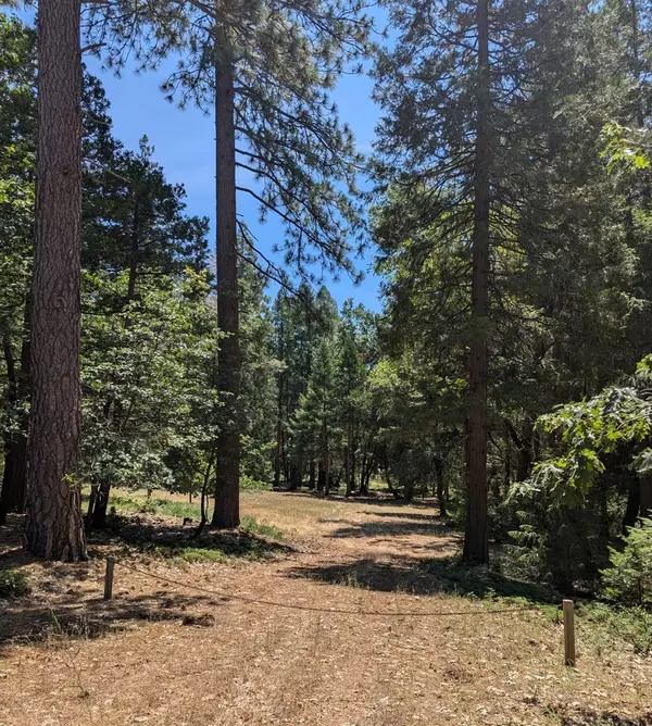 Nevada City, CA 95959,13863 Altair DR