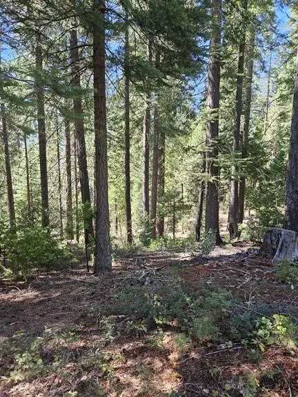 2 Indian Diggins RD, Somerset, CA 95684