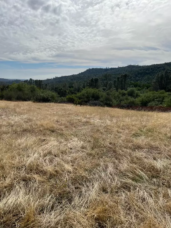 Oroville, CA 95965,1484 Oregon Gulch RD