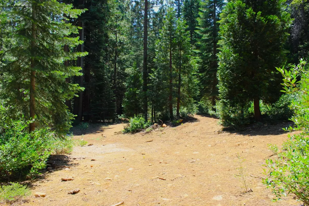 Emigrant Gap, CA 95715,0 Skyline Dr.