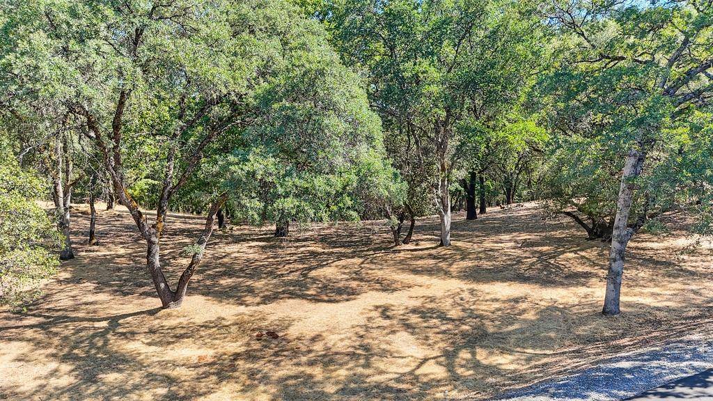 0 American River Trail, Cool, CA 95614