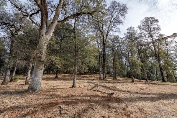 Auburn, CA 95602,Lot 187 Darkhorse DR