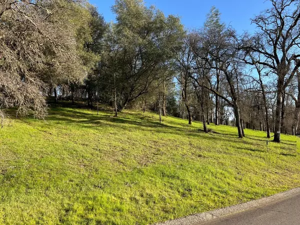 Auburn, CA 95602,Lot 187 Darkhorse DR