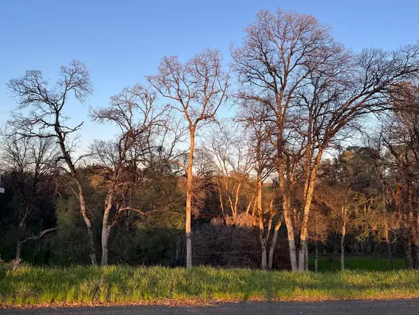 Auburn, CA 95602,Lot 222 Moon Ridge CT