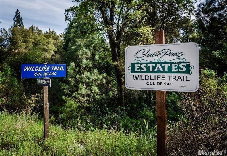 B Wildlife Trail, Fiddletown, CA 95629