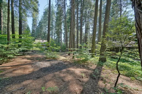 Pollock Pines, CA 95726,2243 Blair RD