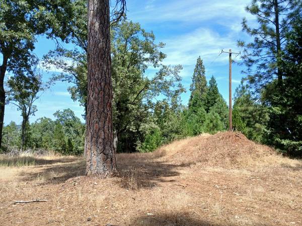 20295 Shake Ridge RD, Volcano, CA 95689