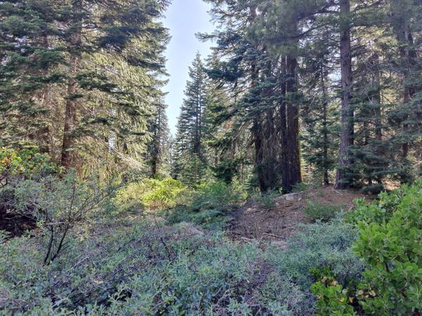 19372 Marsh Mill RD, Nevada City, CA 95959