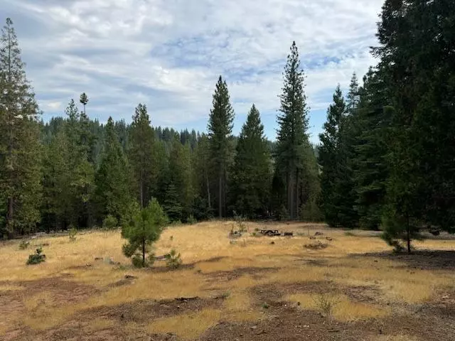 Volcano, CA 95689,27488 Shake Ridge Road