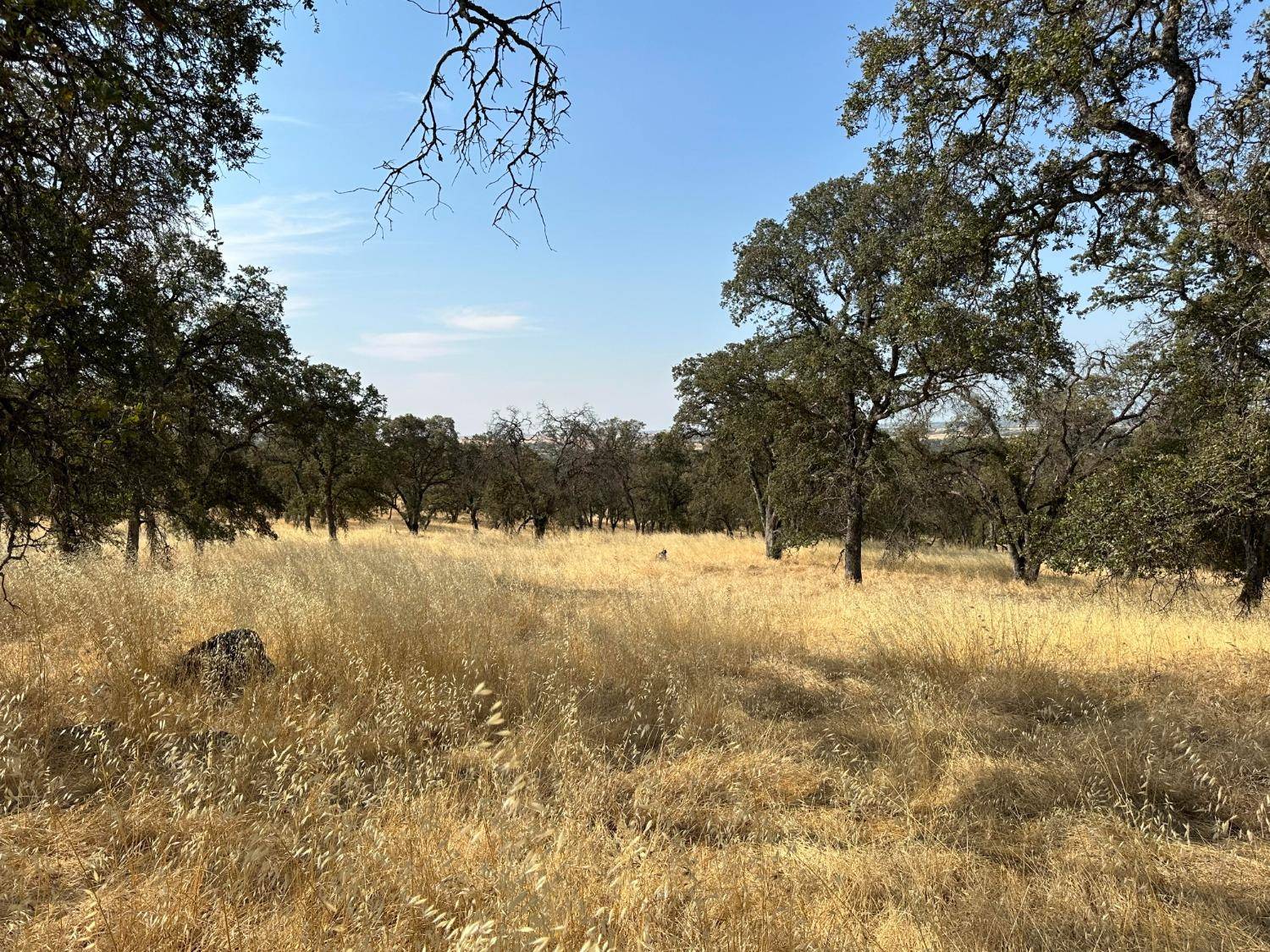 Browns Valley, CA 95918,0 Dry Oak DR