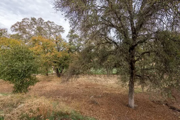 Auburn, CA 95602,Lot 49 Alexis DR