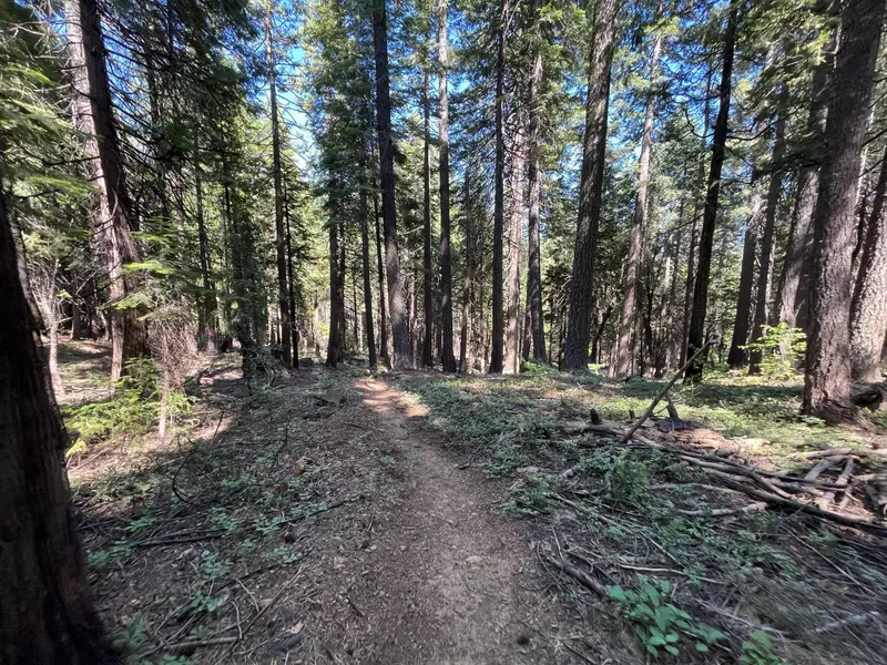 2925 Quincy La Porte RD, Strawberry Valley, CA 95981