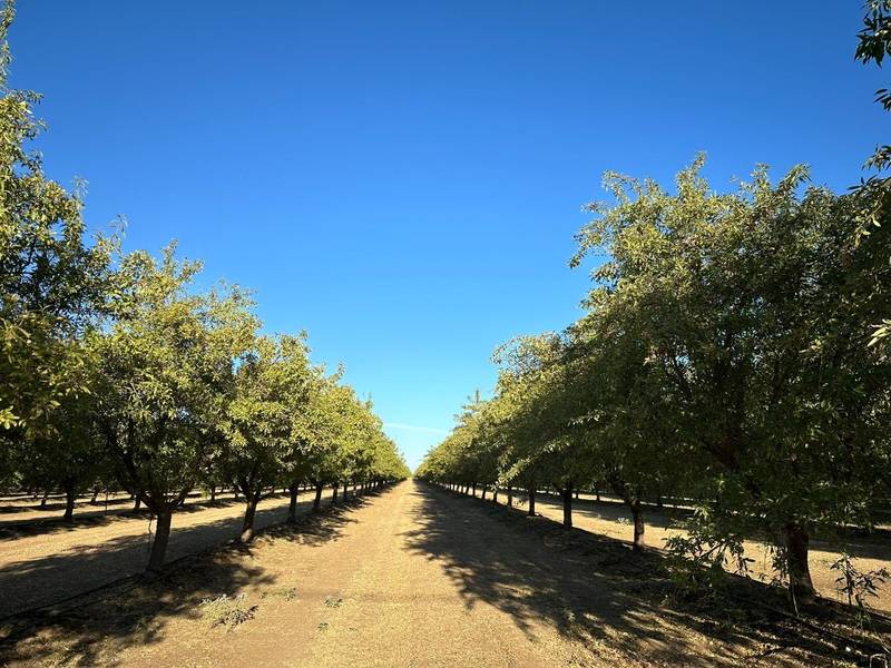 4506 Ispen RD, Le Grand, CA 95333