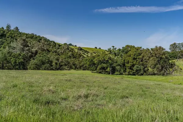 Sutter Creek, CA 95685,10865 Sunset DR