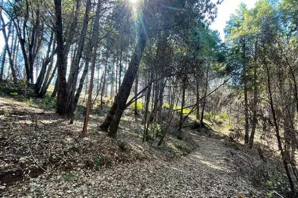 Berry Creek, CA 95916,0 Fir Trail