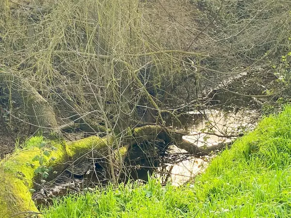 Linden, CA 95236,14699 E Eight Mile RD