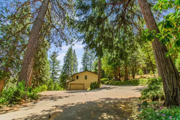 Pioneer, CA 95666,16200 Pinewood