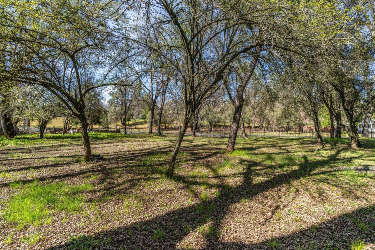 Jackson, CA 95642,16800 Climax RD