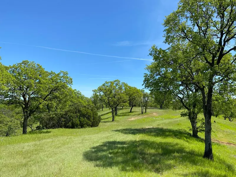 Acres Happy Valley Trail, Cottonwood, CA 96022