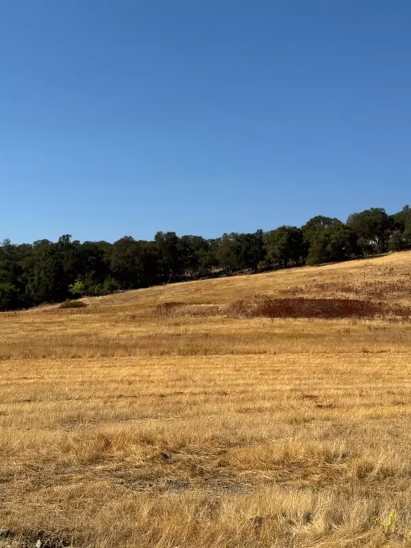 El Dorado Hills, CA 95762,0 Hollow Oak