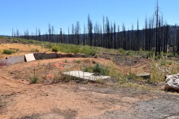 Grizzly Flats, CA 95636,4972 Coralaine CT