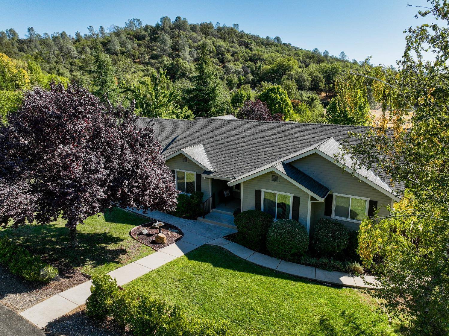 18825 Pyrite CT,  Penn Valley,  CA 95946