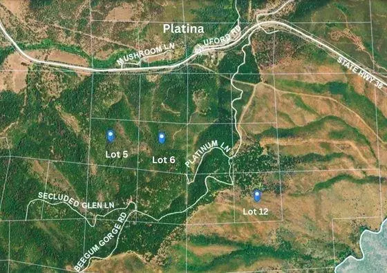 Platina, CA 96076,Lot 6 Platinum LN