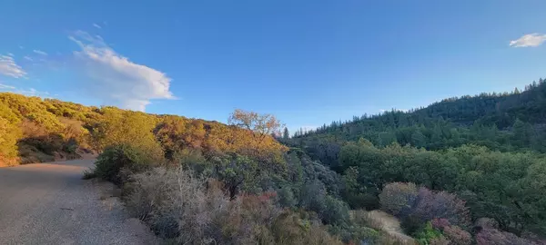 Platina, CA 96076,Lot 6 Platinum LN