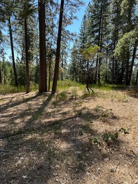 Nevada City, CA 95959,16294 Sages RD