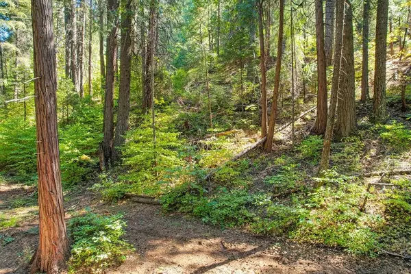 3013 Amber TRL, Pollock Pines, CA 95726