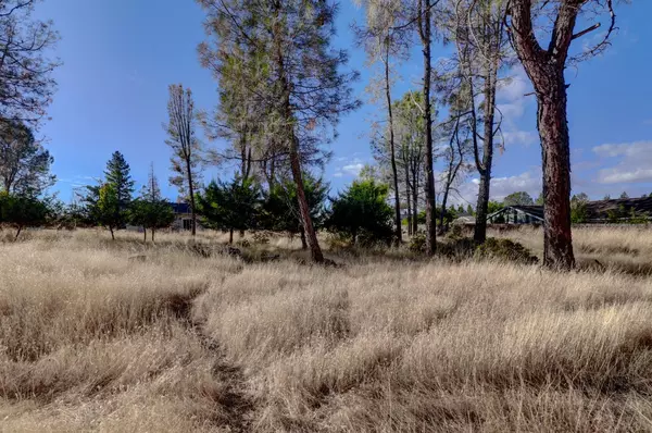 Grass Valley, CA 95945,254 Bresee PL
