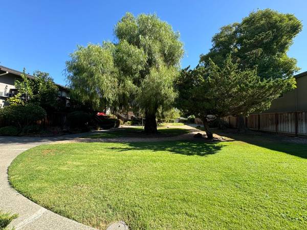 1060 Oak Grove RD #7, Concord, CA 94518