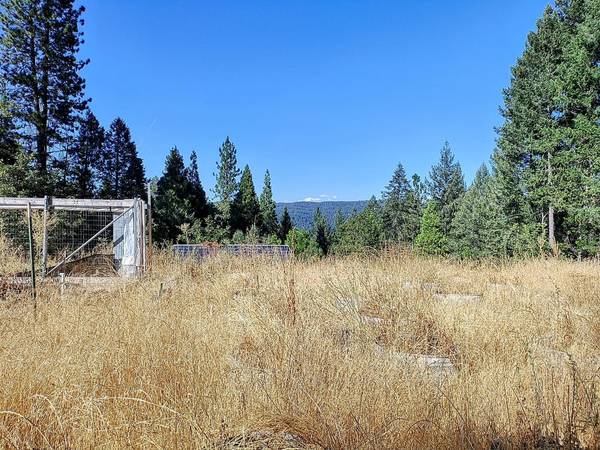 20392 Madrone Springs RD, Nevada City, CA 95959