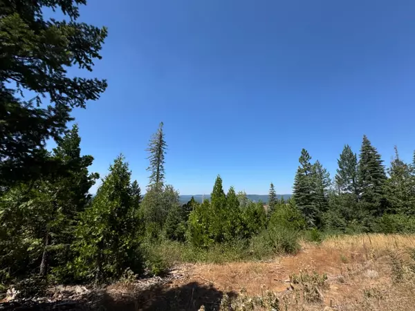 10598 Wa Back Bone Rd, Nevada City, CA 95959