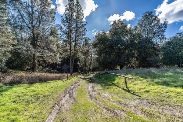 17748 Red Mule RD, Fiddletown, CA 95629